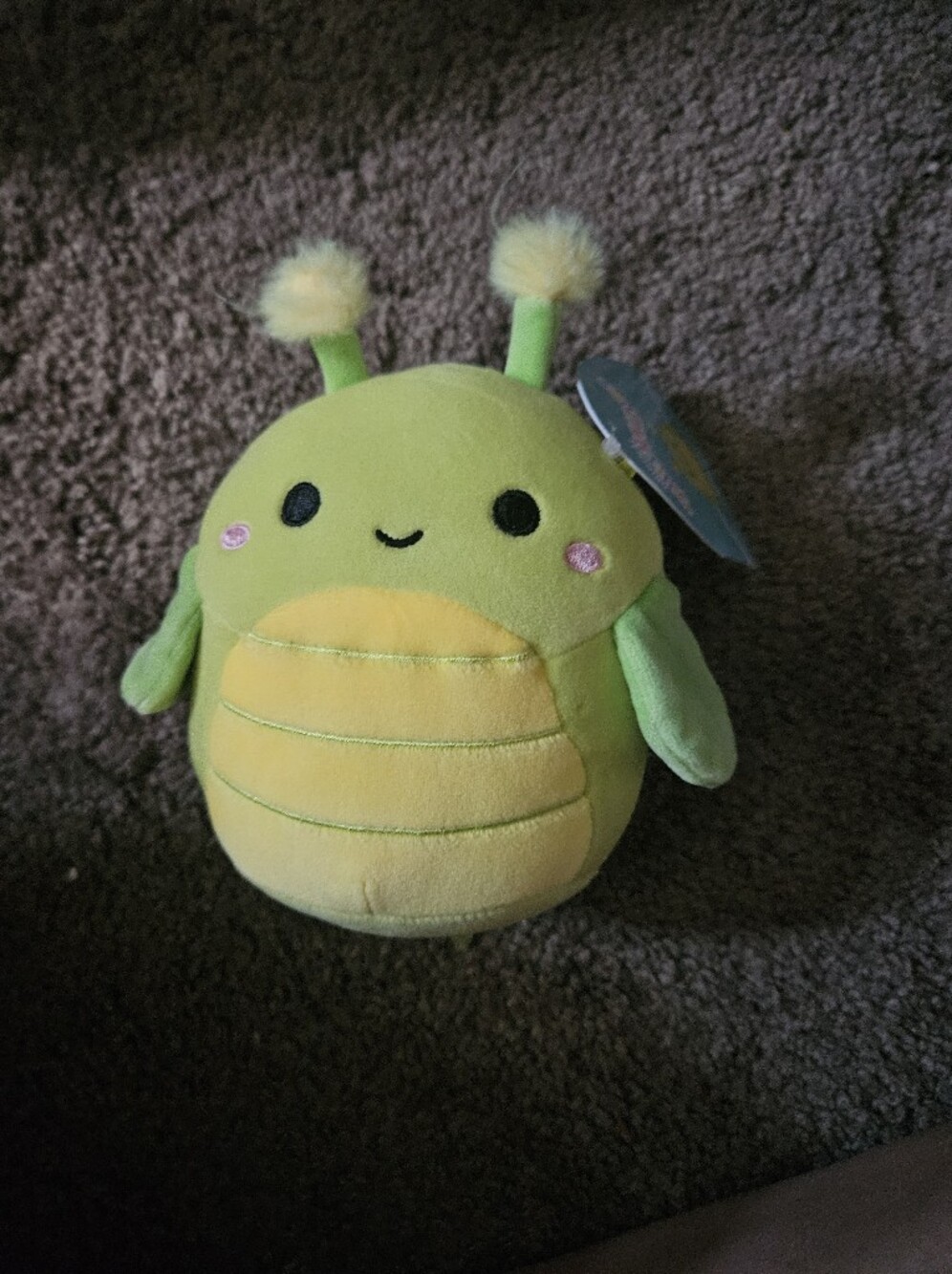 Squishmallows Pilar